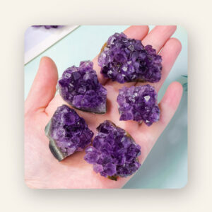 Amethyst Clusters | 紫水晶矿石